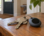Synthetic editorial illustration. A home entrance. Plain house keys and a rounded dark keychain gadget with a circular black screen rest on a worn wooden table beside a plant pot.