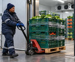 Synthetic editorial illustration. A cold-store worker moves stacked produce crates on a pallet jack through a refrigerated doorway.
