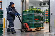 Synthetic editorial illustration. A cold-store worker moves stacked produce crates on a pallet jack through a refrigerated doorway.