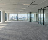 Synthetic editorial illustration. An empty office floor. Bare grey carpet stretches between white columns and glass-walled rooms, with daylight casting long window shadows and a distant city visible beyond the glazing.