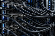 Synthetic editorial illustration. A server rack. Dense bundles of smooth dark network cables connect to metal ports across stacked equipment trays, with small blue status lights beside perforated ventilation panels.