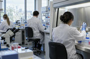 Synthetic editorial illustration. A modern biotech laboratory with anonymous researchers seen from behind working at a real-scale clean bench, practical glassware and sample racks, diffuse daylight and no labels or visible screens.